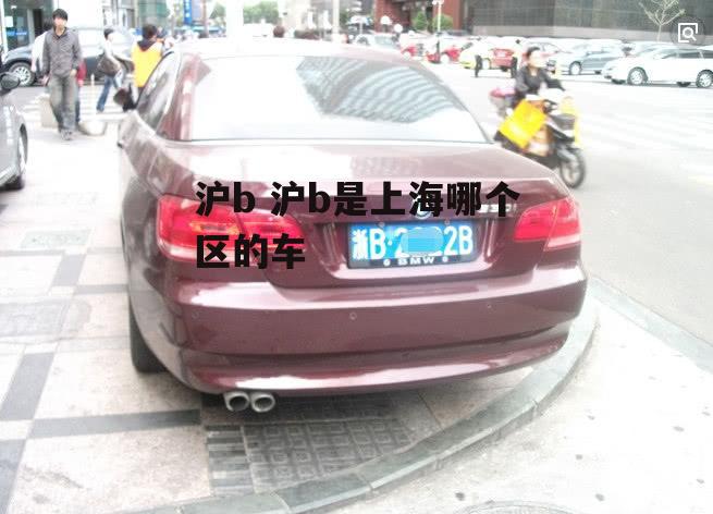 沪b 沪b是上海哪个区的车