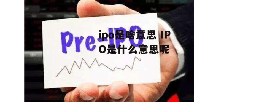 ipo是啥意思 IPO是什么意思呢