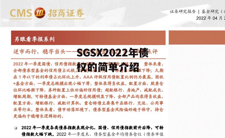 SGSX2022年债权的简单介绍