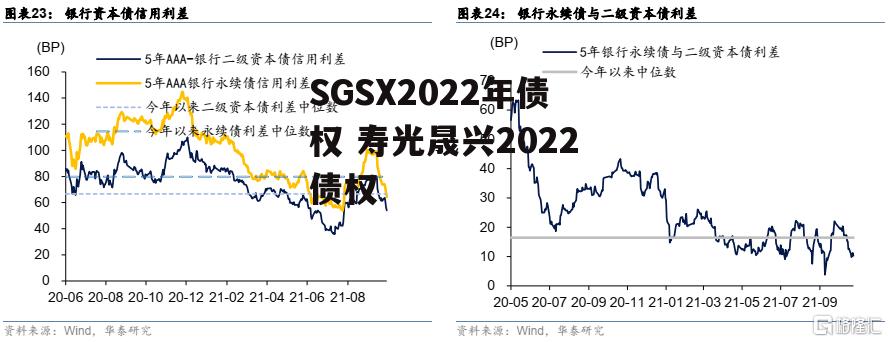 SGSX2022年债权 寿光晟兴2022债权