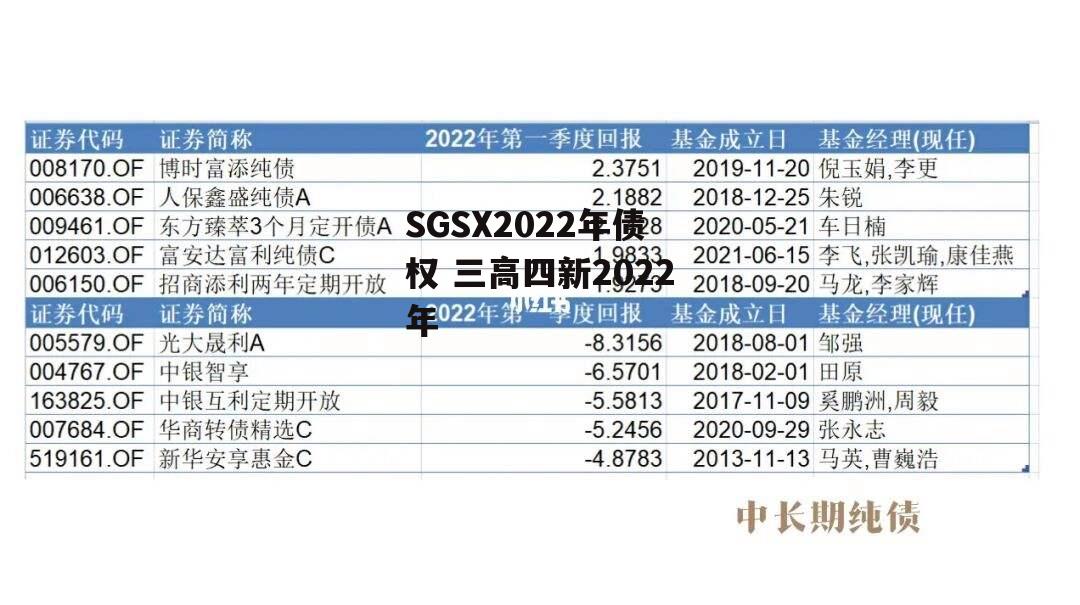 SGSX2022年债权 三高四新2022年