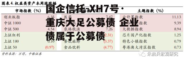 国企信托-XH7号·重庆大足公募债 企业债属于公募债
