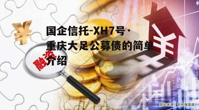 国企信托-XH7号·重庆大足公募债的简单介绍