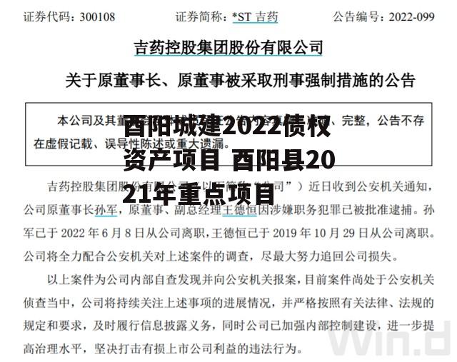 酉阳城建2022债权资产项目 酉阳县2021年重点项目