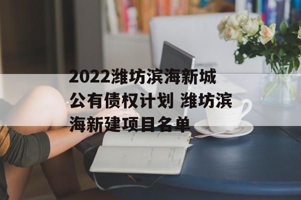 2022潍坊滨海新城公有债权计划 潍坊滨海新建项目名单