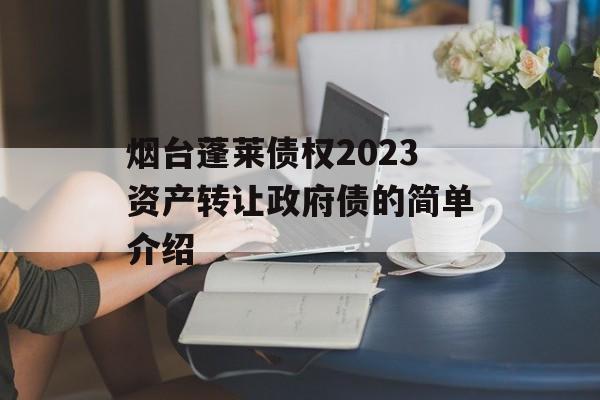 烟台蓬莱债权2023资产转让政府债的简单介绍