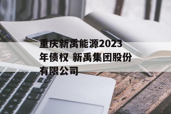 重庆新禹能源2023年债权 新禹集团股份有限公司
