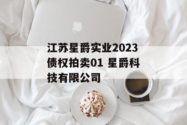 江苏星爵实业2023债权拍卖01 星爵科技有限公司