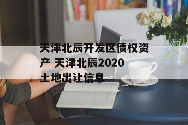 天津北辰开发区债权资产 天津北辰2020土地出让信息